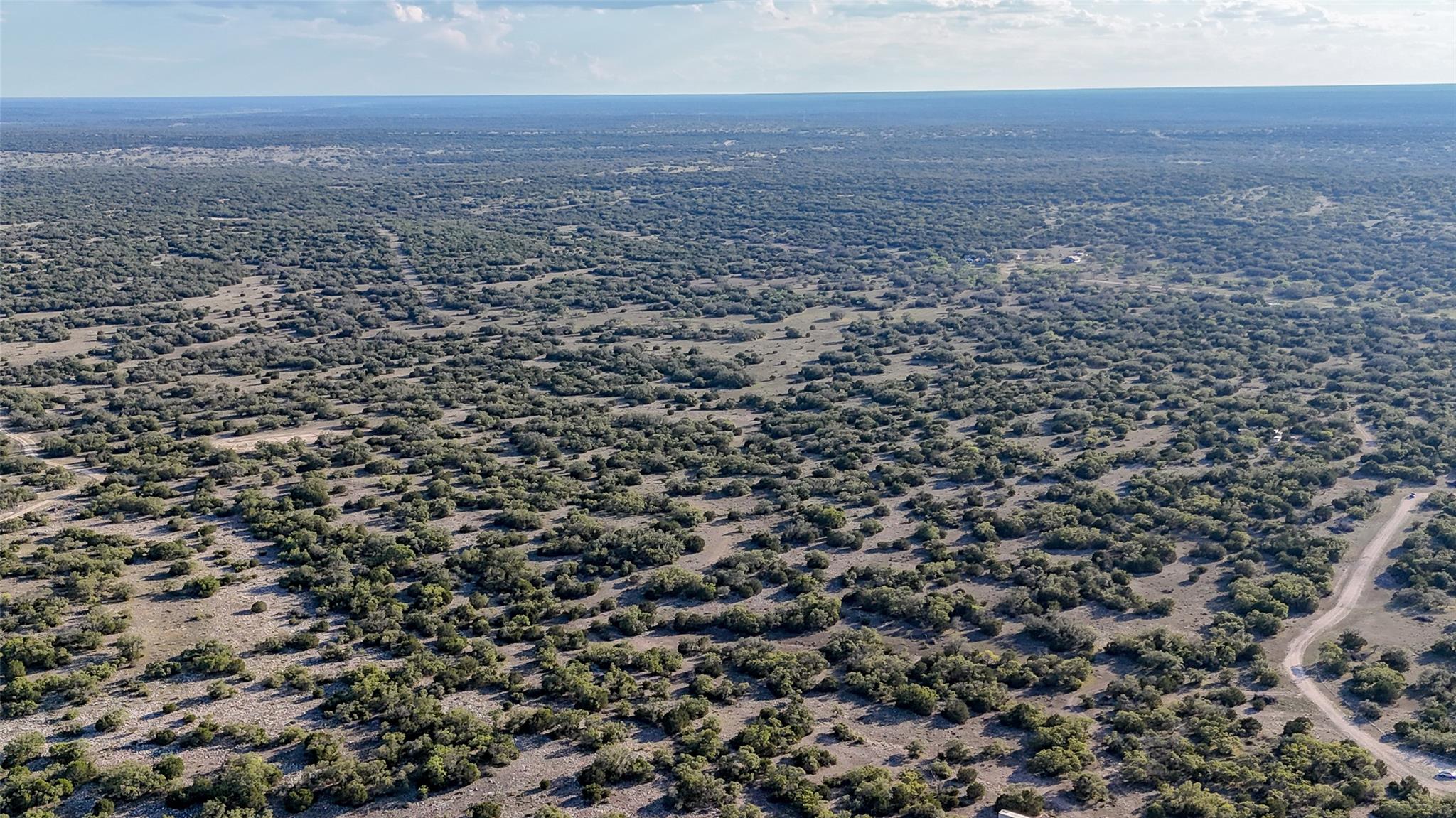1595 Blackbuck Drive E Eldorado TX 76935