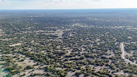 1595 Blackbuck Drive E Eldorado TX 76935