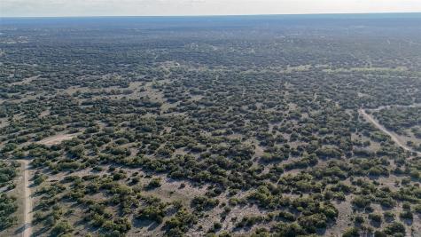 1595 Blackbuck Drive E Eldorado TX 76935
