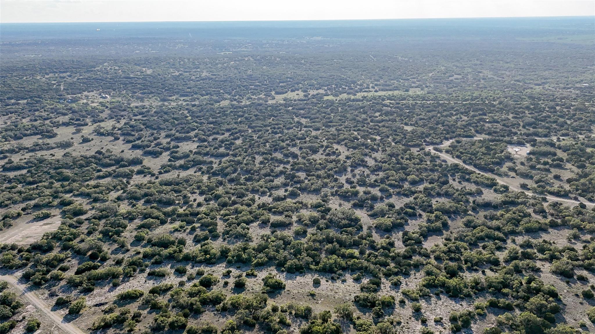 1595 Blackbuck Drive E Eldorado TX 76935