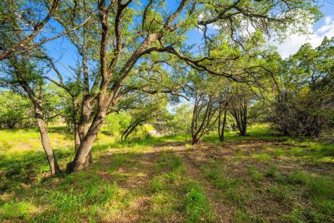 00 Ligon-smith Lane Johnson City TX 78636