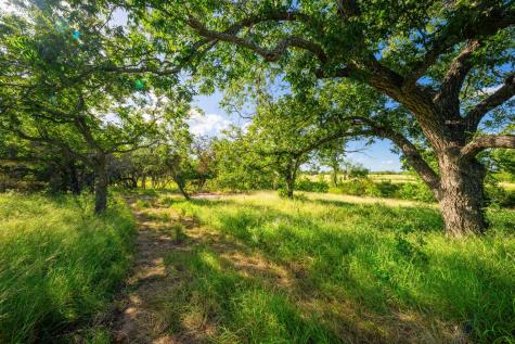 00 Ligon-smith Lane Johnson City TX 78636