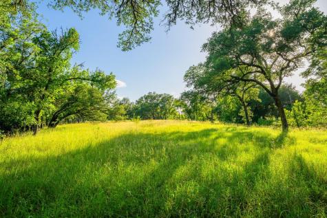 00 Ligon-smith Lane Johnson City TX 78636