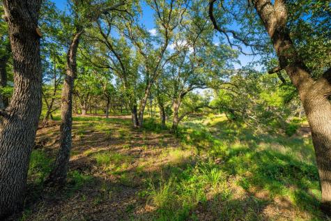 00 Ligon-smith Lane Johnson City TX 78636