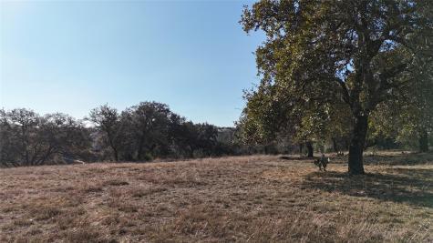 3517 Kahala Sunset Drive Spicewood TX 78669
