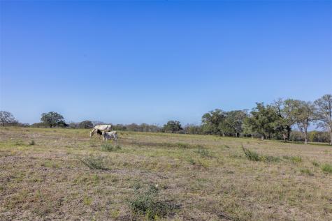 Tract D Fm 795 Gonzales TX 78629