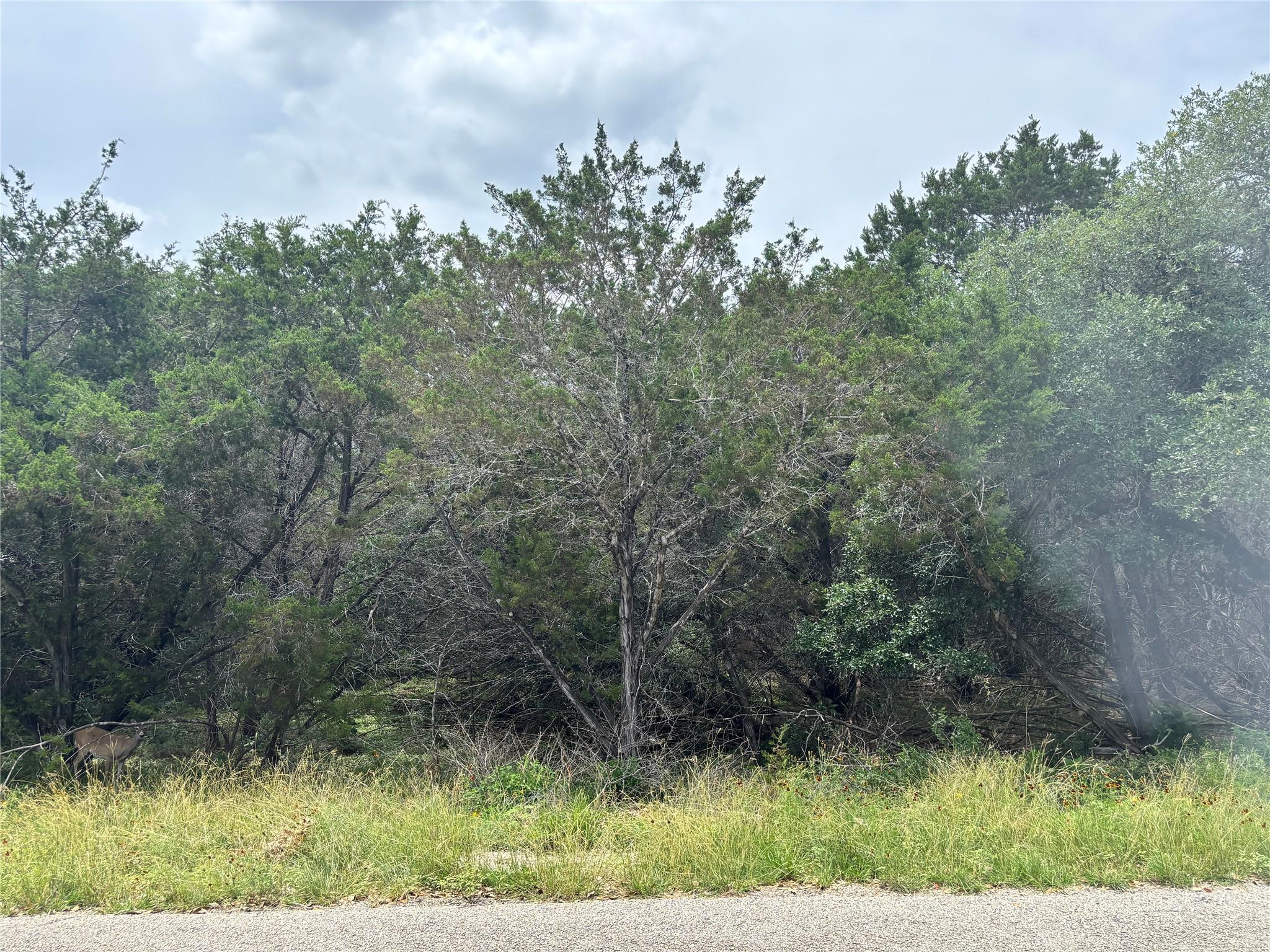 1684 Westview Court Drive Canyon Lake TX 78133