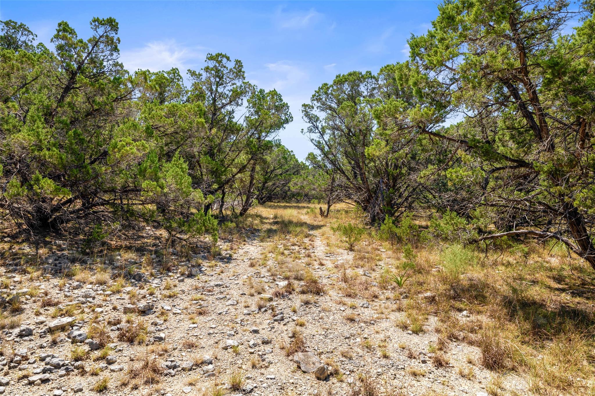 Tbd Lipan Run Tract 1 Fischer TX 78623