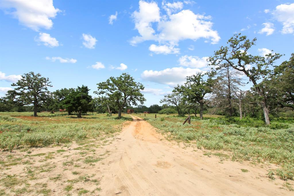 Tract 14 The Ranches At Woodland Trail Caldwell TX 77836