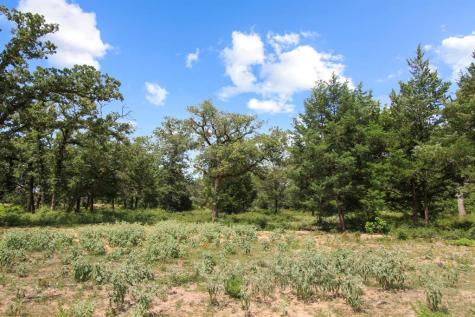 Tract 14 The Ranches At Woodland Trail Caldwell TX 77836