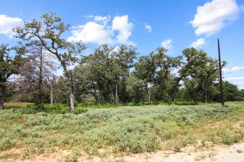 Tract 14 The Ranches At Woodland Trail Caldwell TX 77836