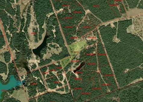 Tract 14 The Ranches At Woodland Trail Caldwell TX 77836