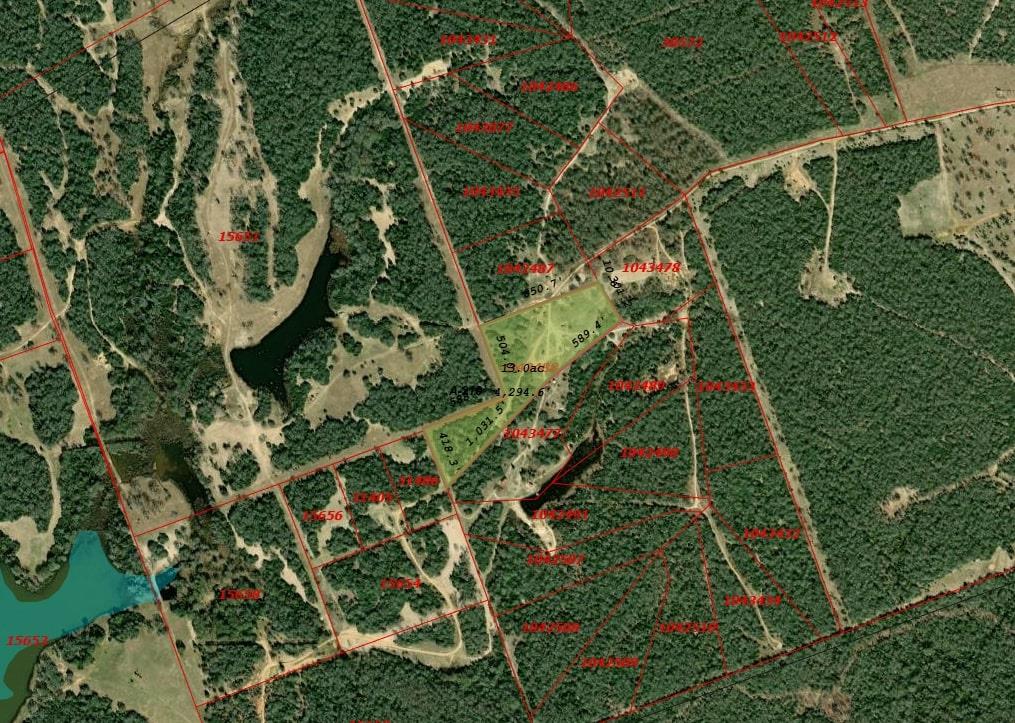 Tract 14 The Ranches At Woodland Trail Caldwell TX 77836