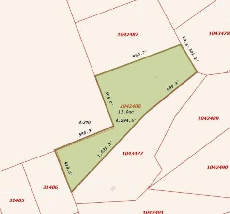 Tract 14 The Ranches At Woodland Trail Caldwell TX 77836