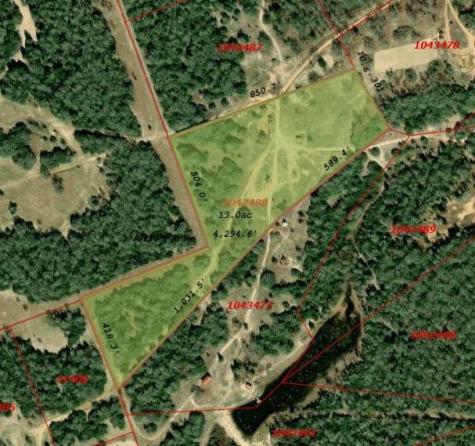 Tract 14 The Ranches At Woodland Trail Caldwell TX 77836