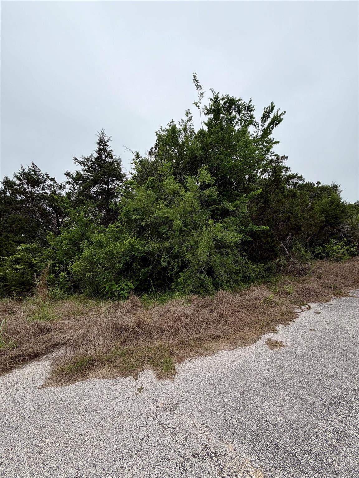 8903 Eagle Pass Lago Vista TX 78645