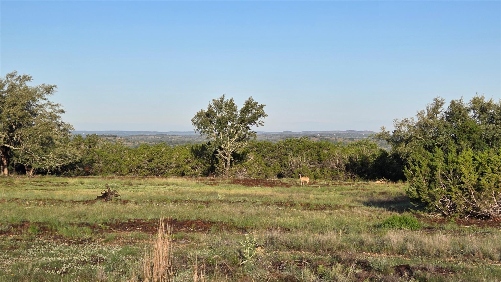 219 Canyon Road Johnson City TX 78636