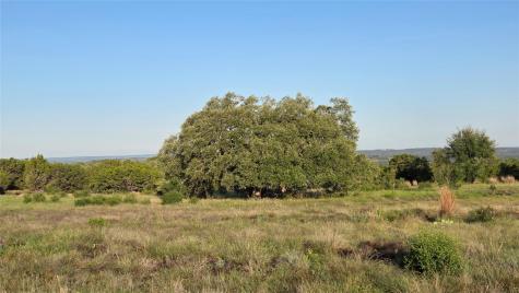 219 Canyon Road Johnson City TX 78636