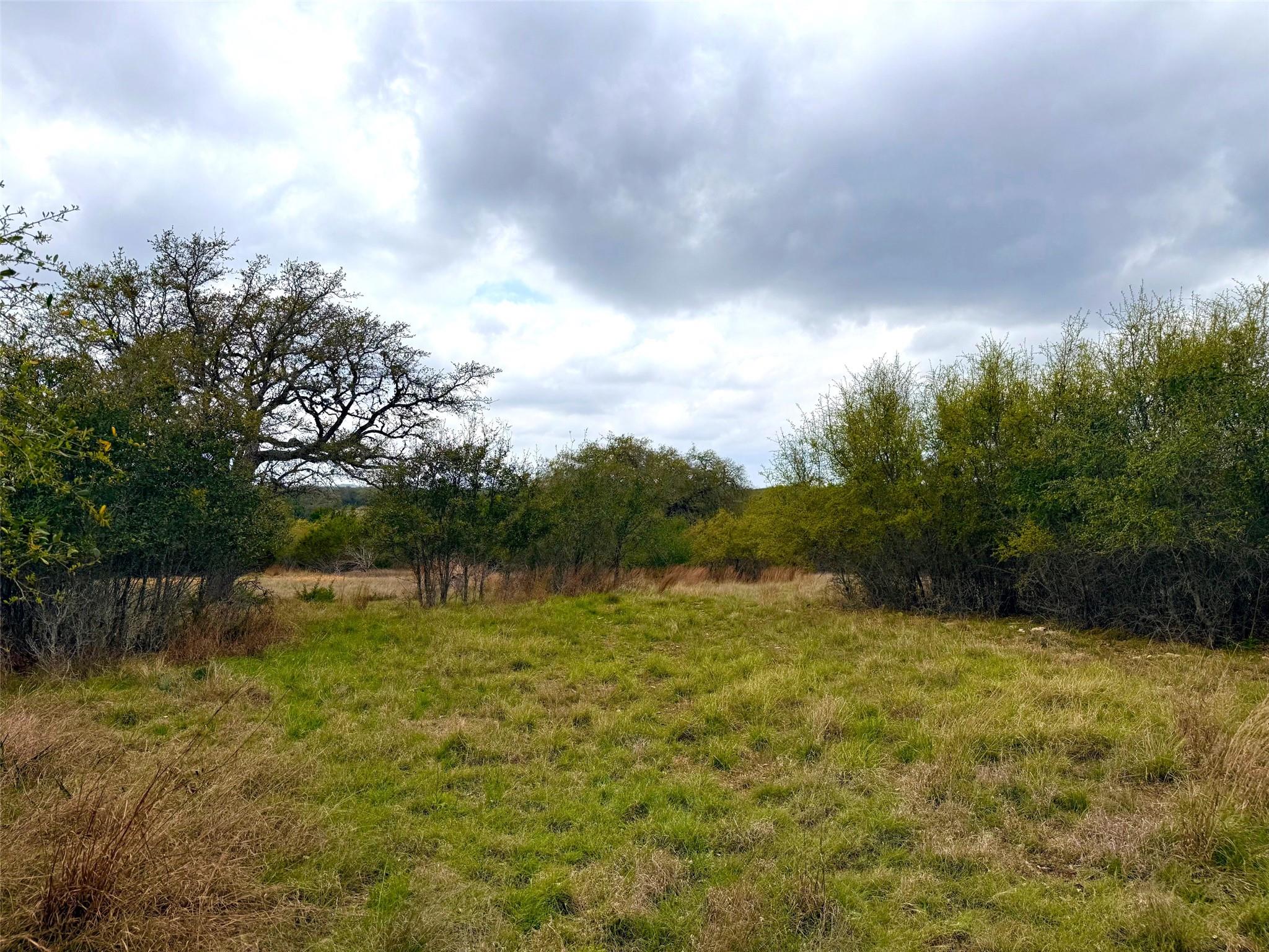 103 Ira Long Blanco TX 78606