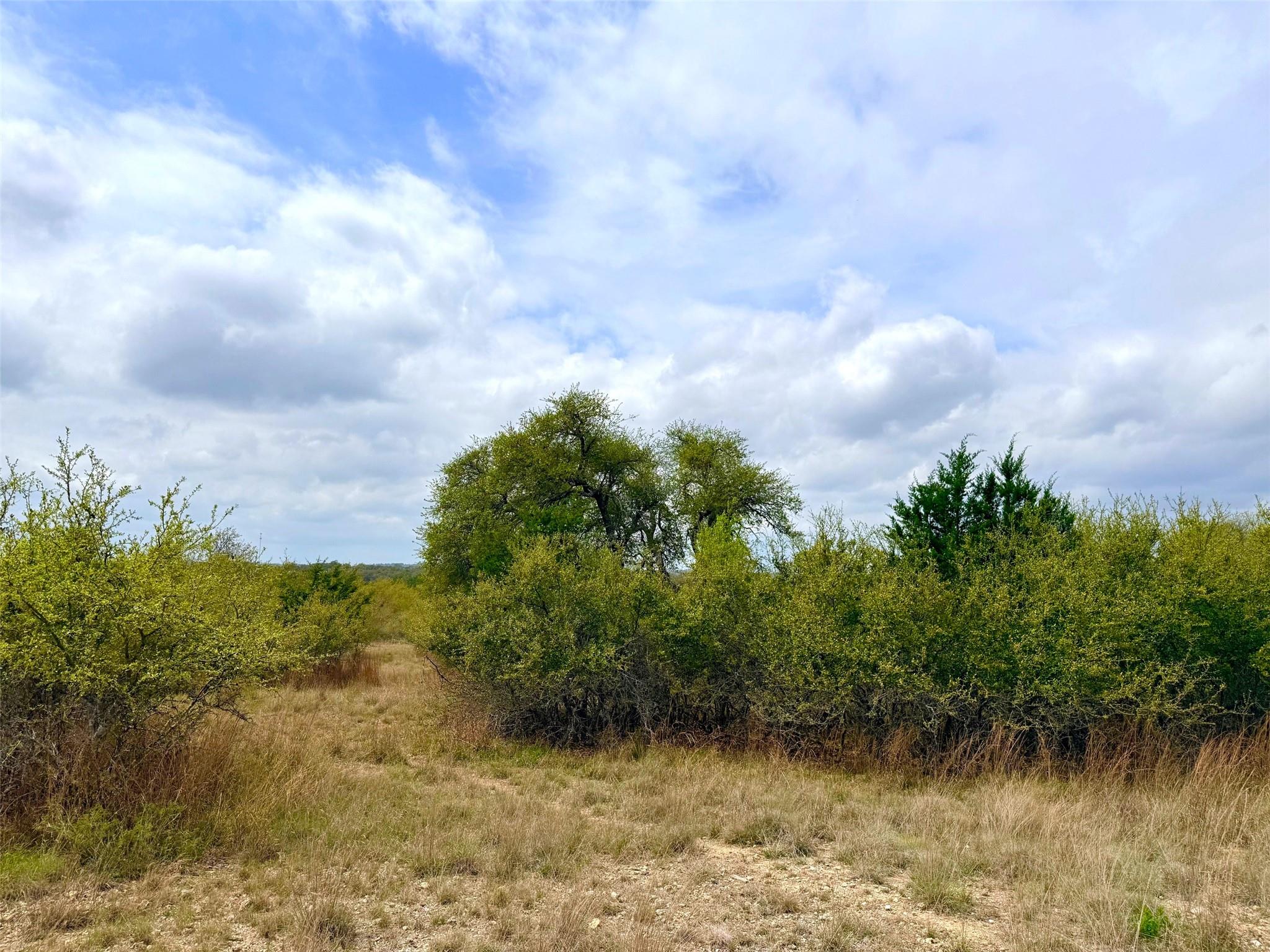 103 Ira Long Blanco TX 78606