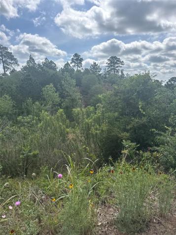Lot 798 Tahitian Drive Bastrop TX 78602