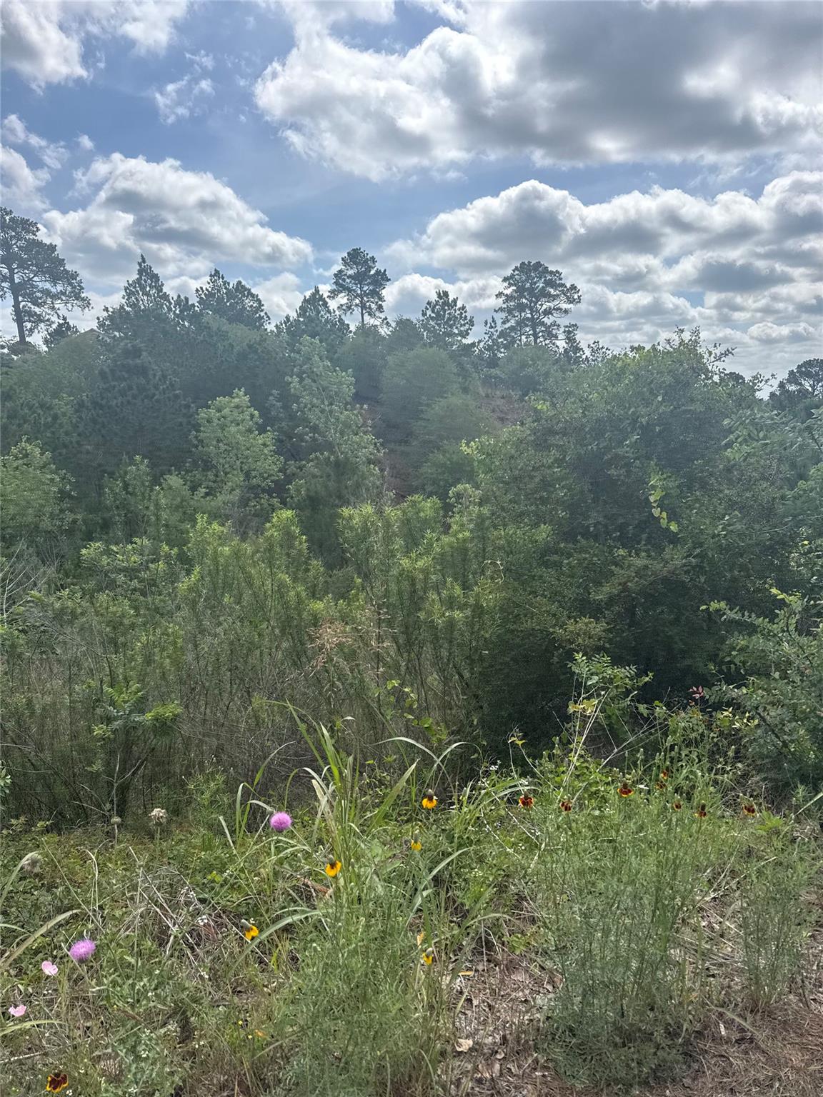 Lot 798 Tahitian Drive Bastrop TX 78602