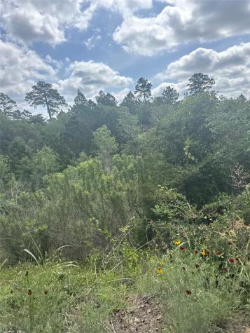 Lot 798 Tahitian Drive Bastrop TX 78602