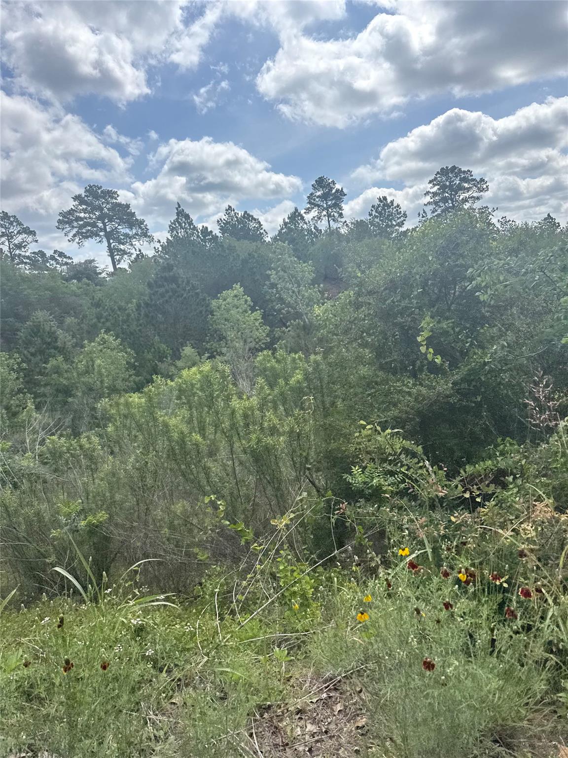 Lot 798 Tahitian Drive Bastrop TX 78602