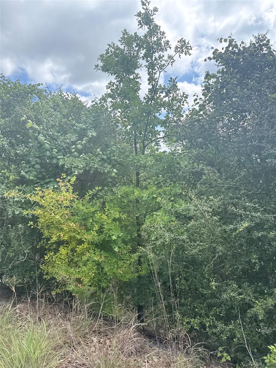 Lot 798 Tahitian Drive Bastrop TX 78602