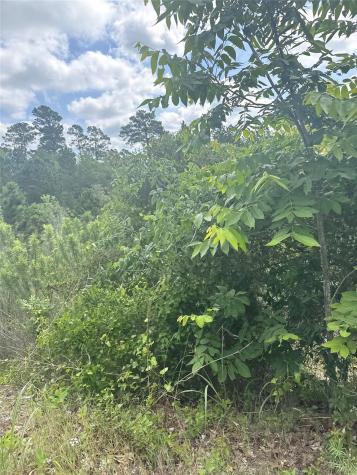 Lot 798 Tahitian Drive Bastrop TX 78602