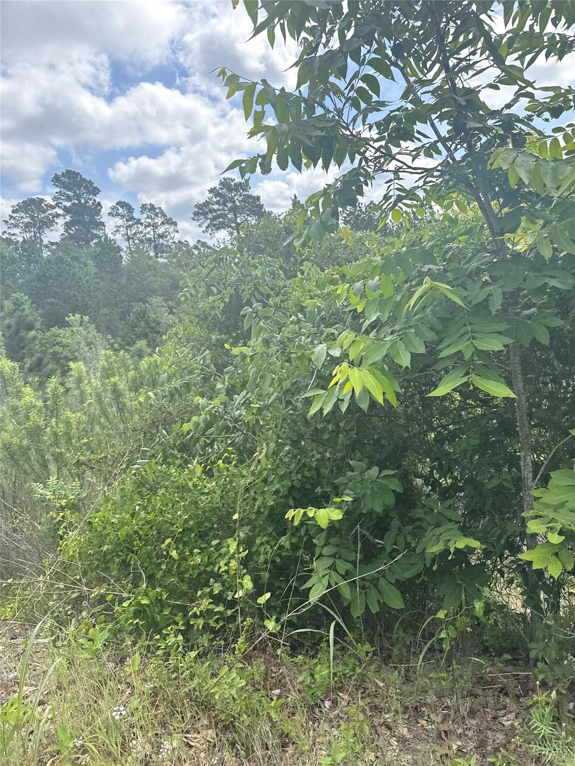 Lot 798 Tahitian Drive Bastrop TX 78602