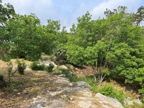 509 Greystone Road Dripping Springs TX 78620