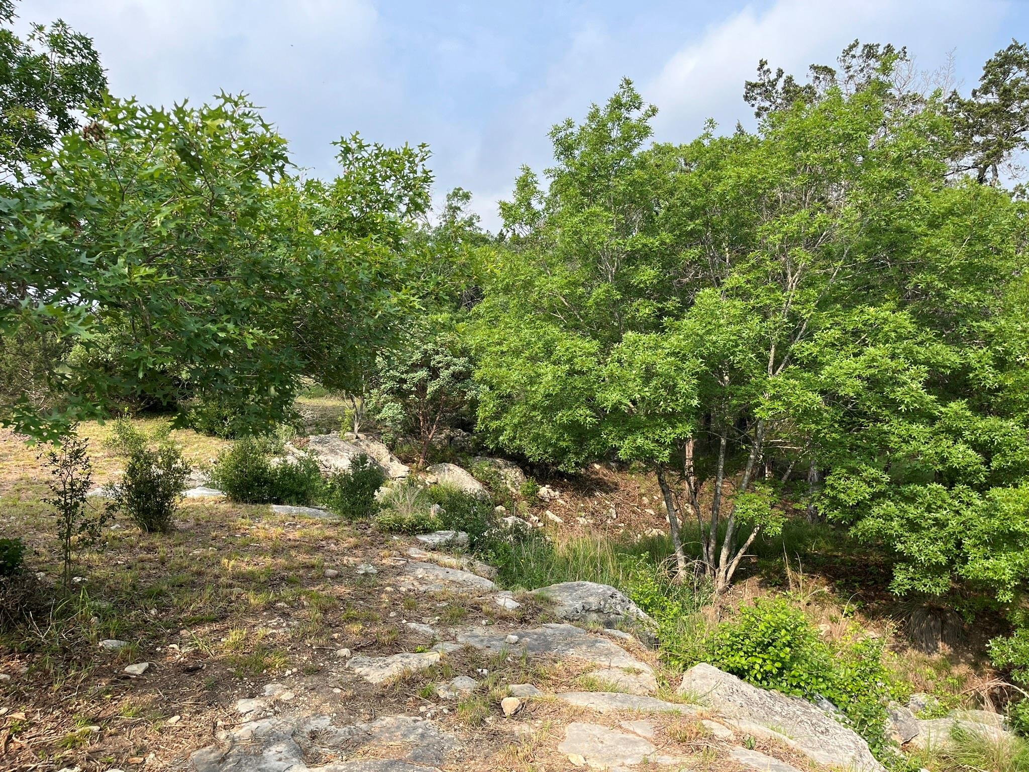509 Greystone Road Dripping Springs TX 78620