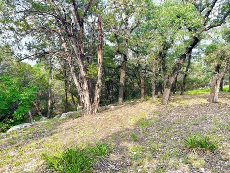 509 Greystone Road Dripping Springs TX 78620