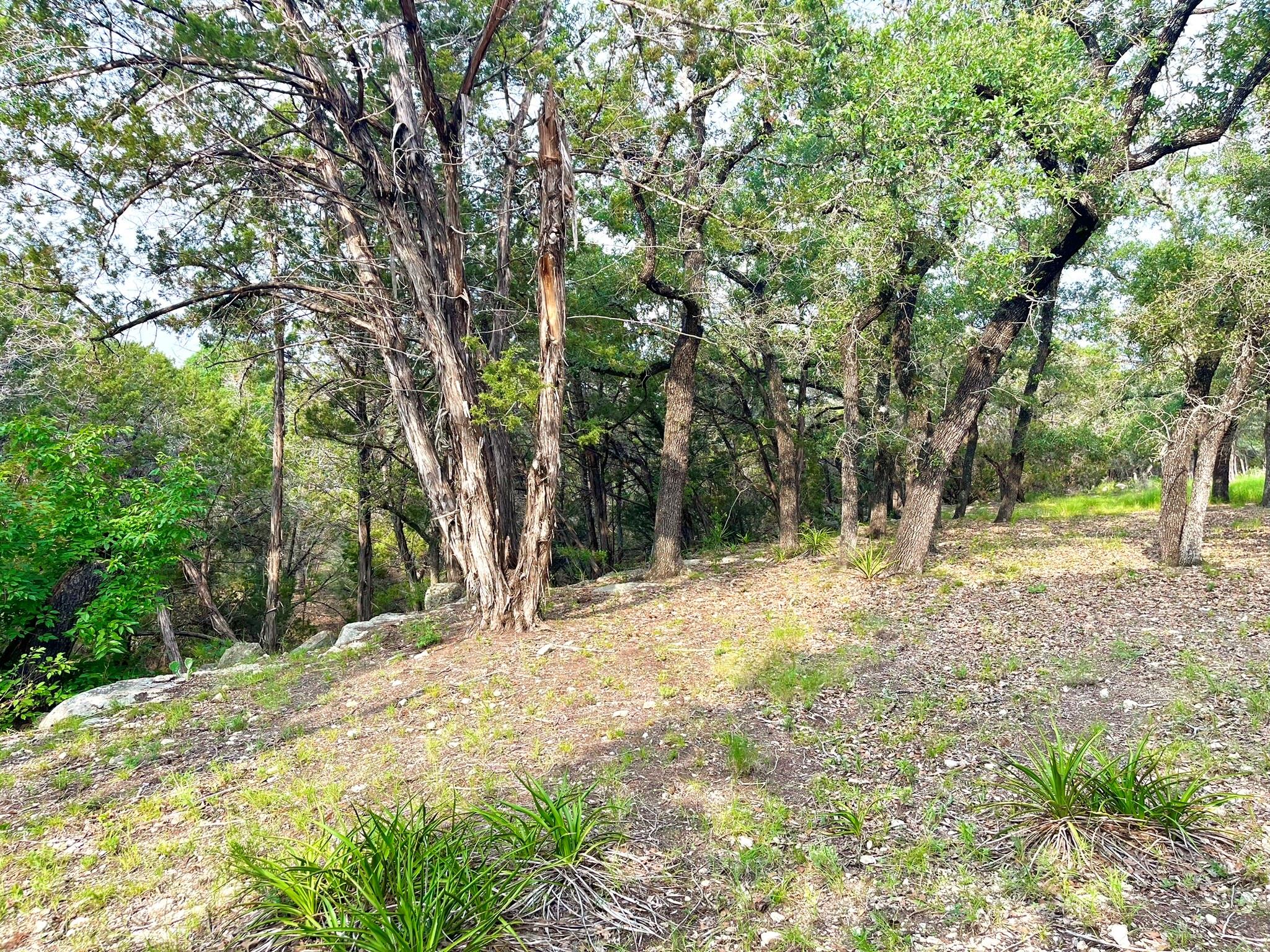 509 Greystone Road Dripping Springs TX 78620