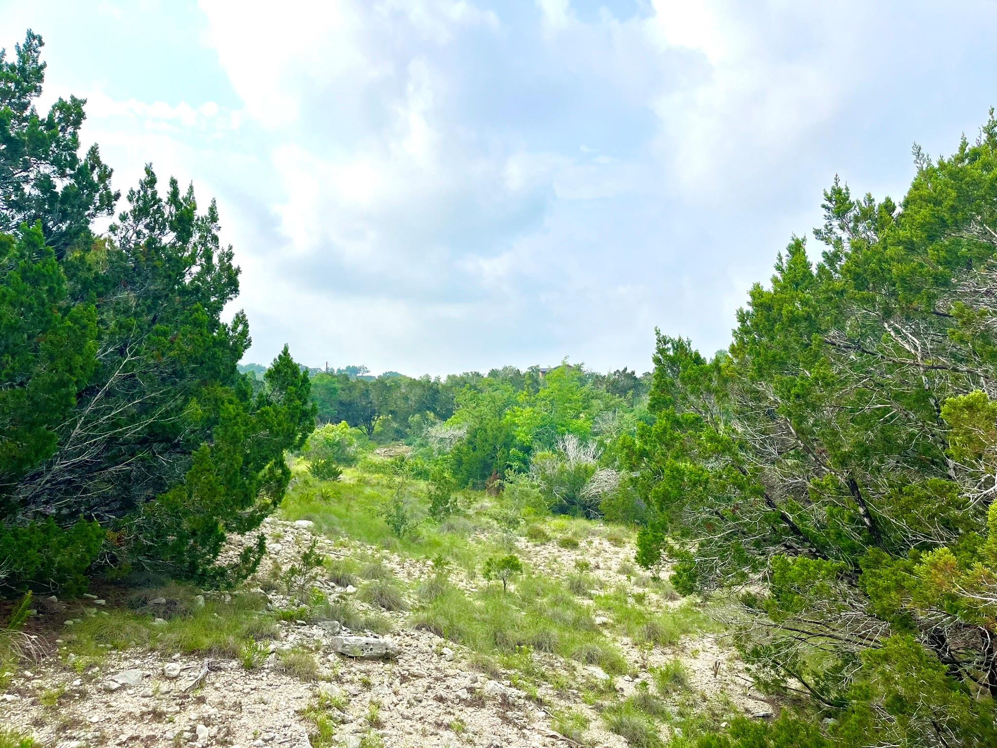 509 Greystone Road Dripping Springs TX 78620