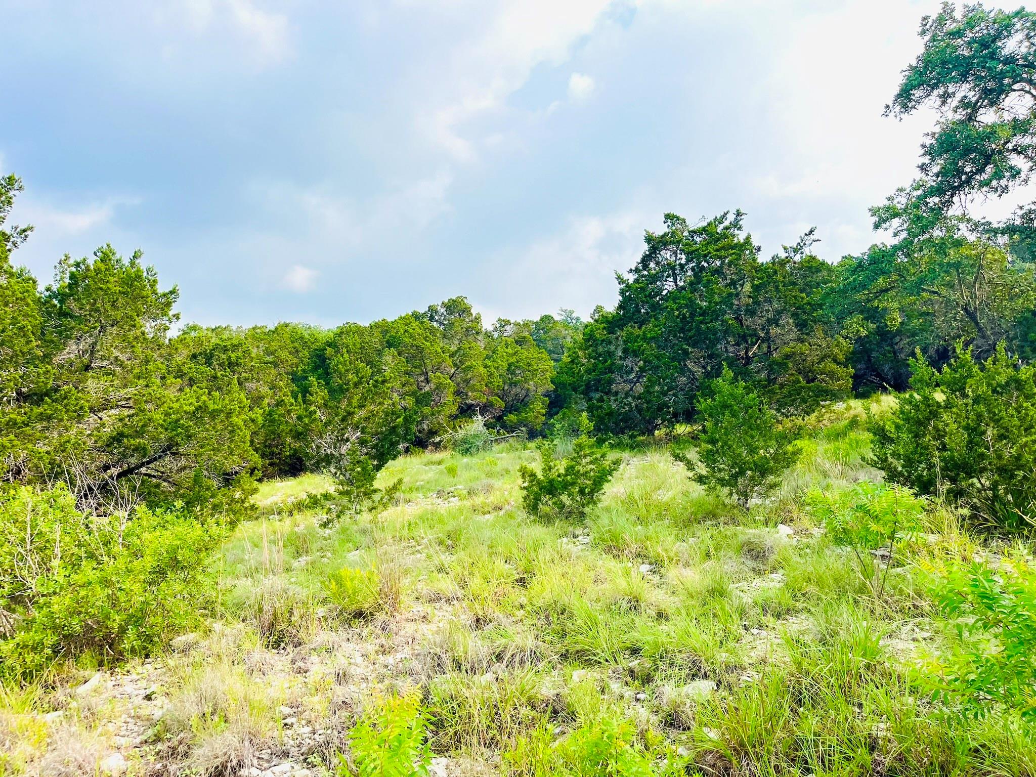 509 Greystone Road Dripping Springs TX 78620