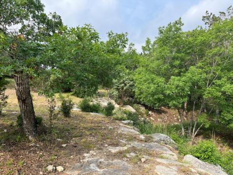509 Greystone Road Dripping Springs TX 78620