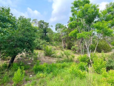 509 Greystone Road Dripping Springs TX 78620