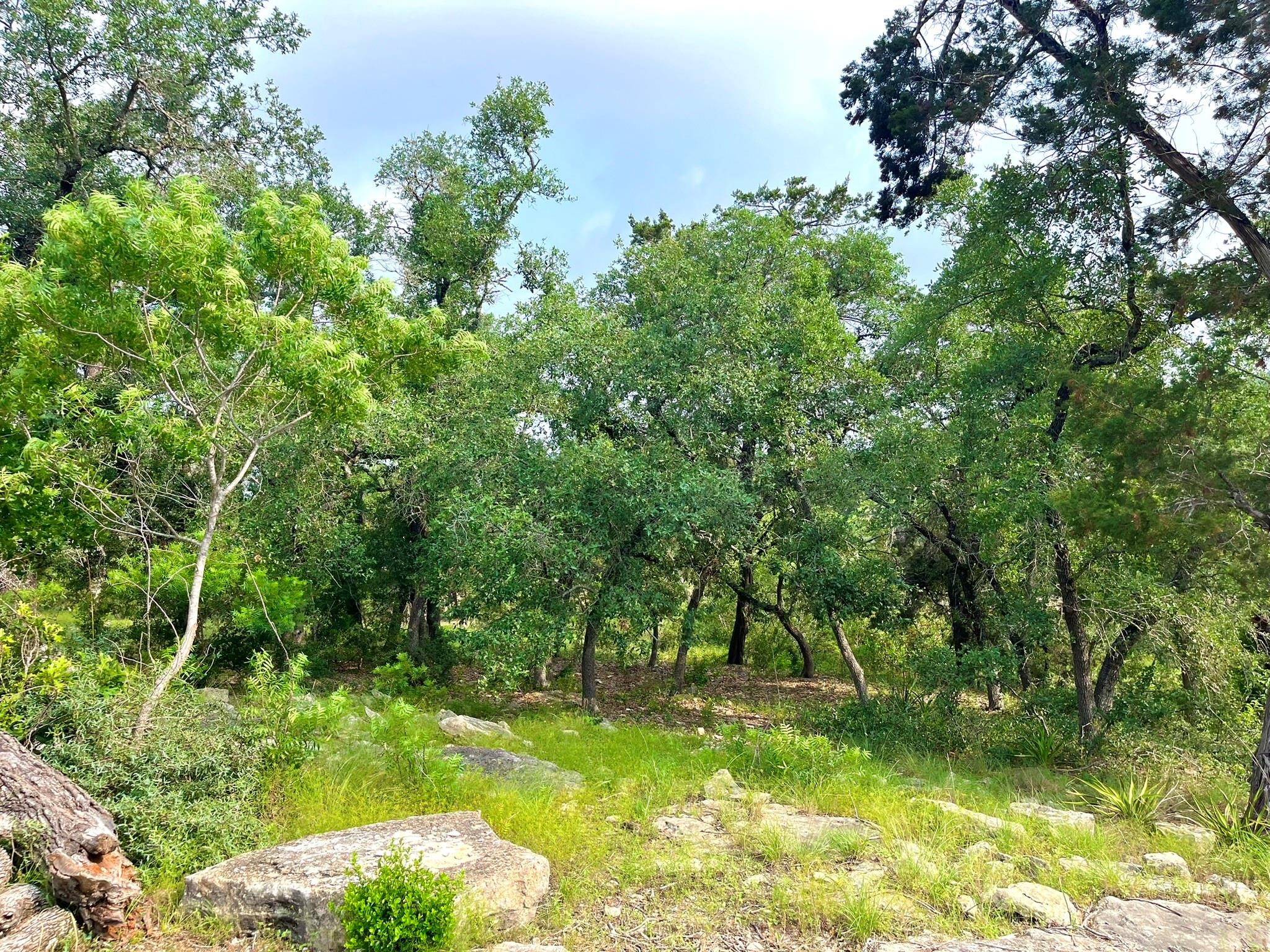 509 Greystone Road Dripping Springs TX 78620