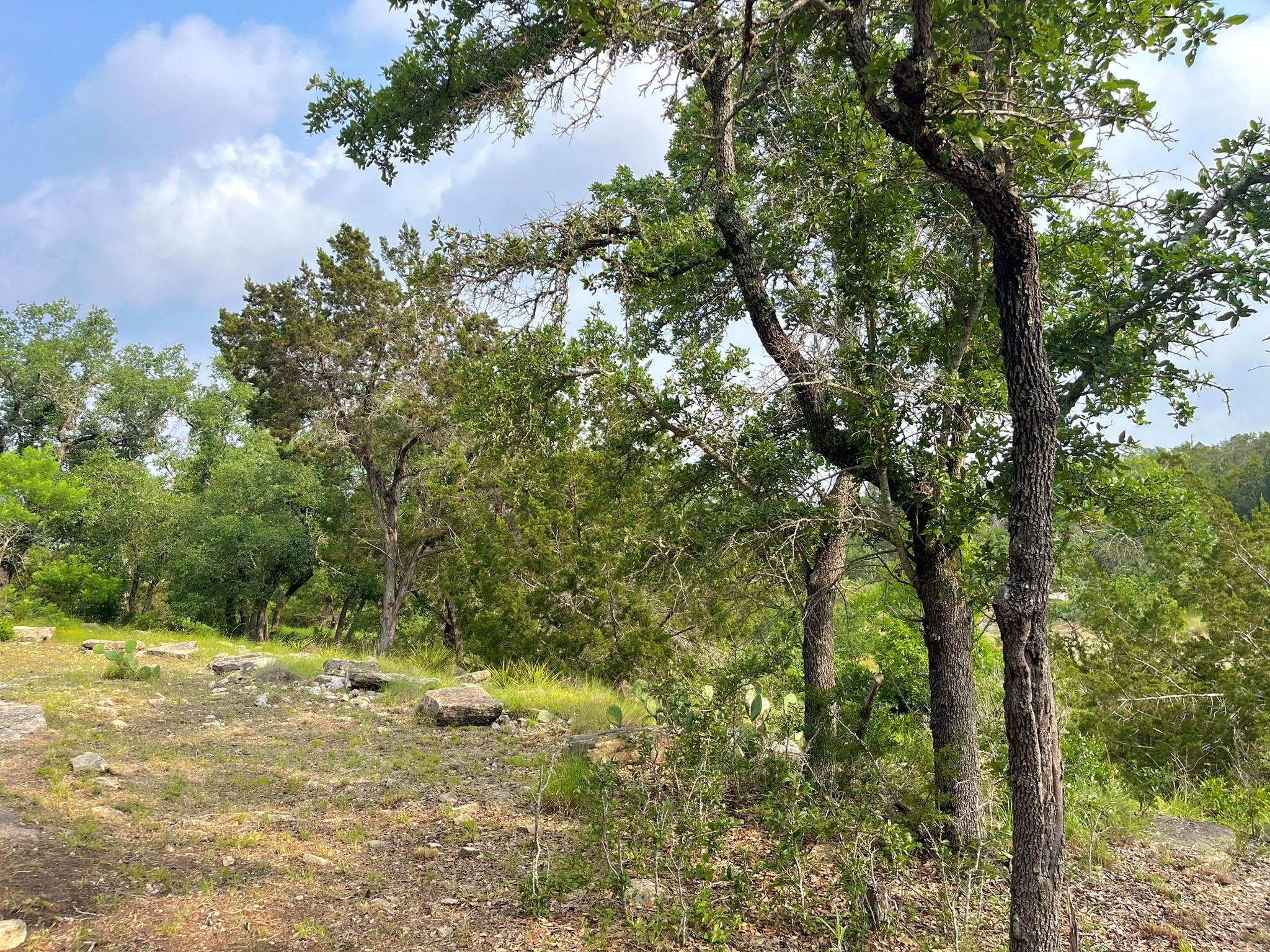 509 Greystone Road Dripping Springs TX 78620