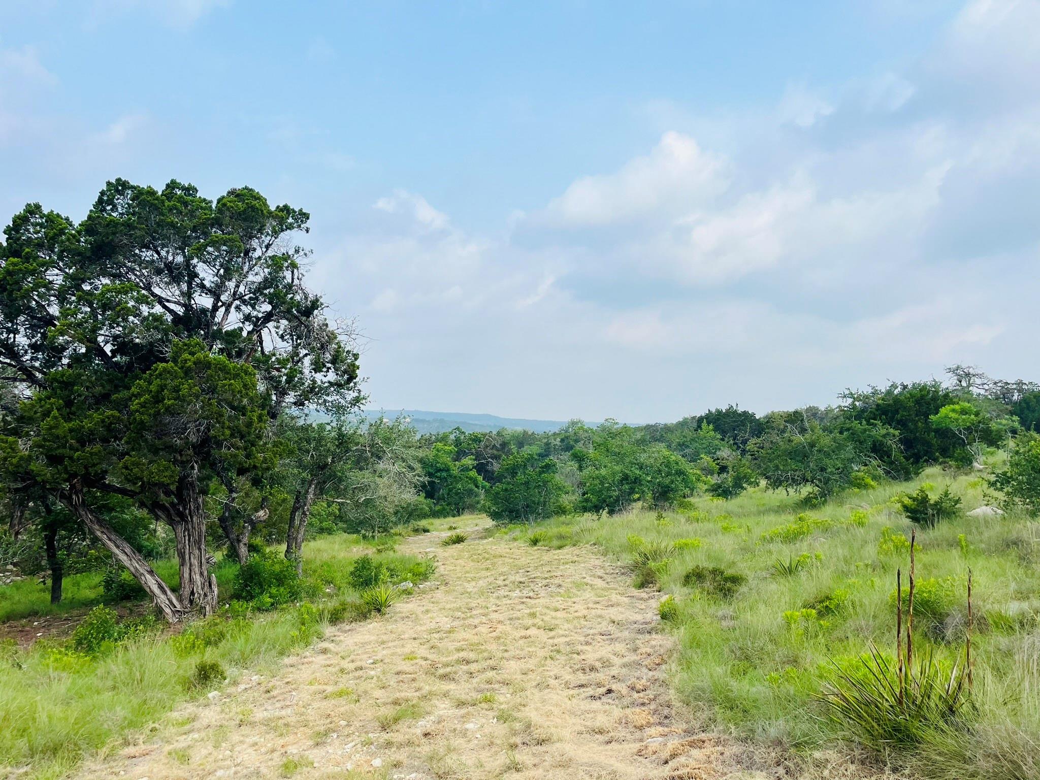509 Greystone Road Dripping Springs TX 78620