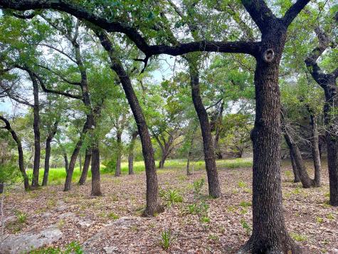 509 Greystone Road Dripping Springs TX 78620