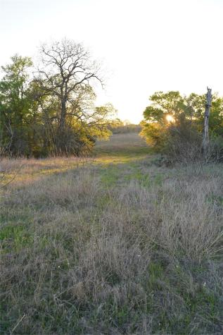 2915 Tumbleweed Trail Dale TX 78616