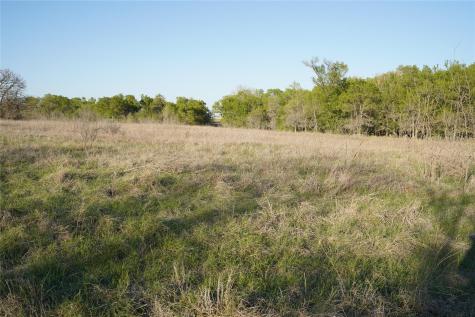 2915 Tumbleweed Trail Dale TX 78616