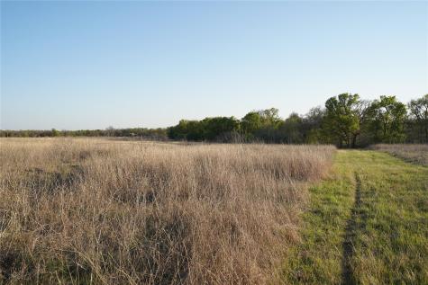 2915 Tumbleweed Trail Dale TX 78616