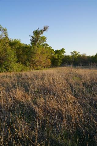 2915 Tumbleweed Trail Dale TX 78616