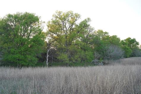 2915 Tumbleweed Trail Dale TX 78616