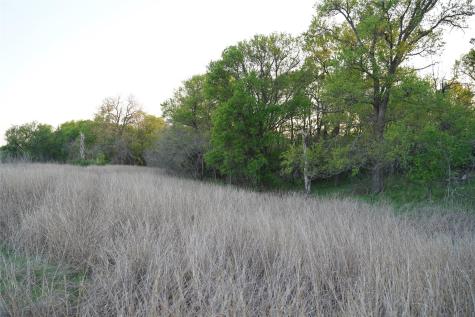 2915 Tumbleweed Trail Dale TX 78616