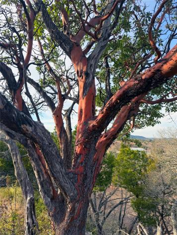 470 Blackbuck Trail Road Pipe Creek TX 78063